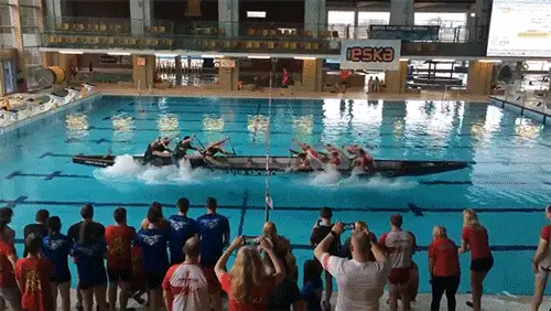 img4 rowing different directions