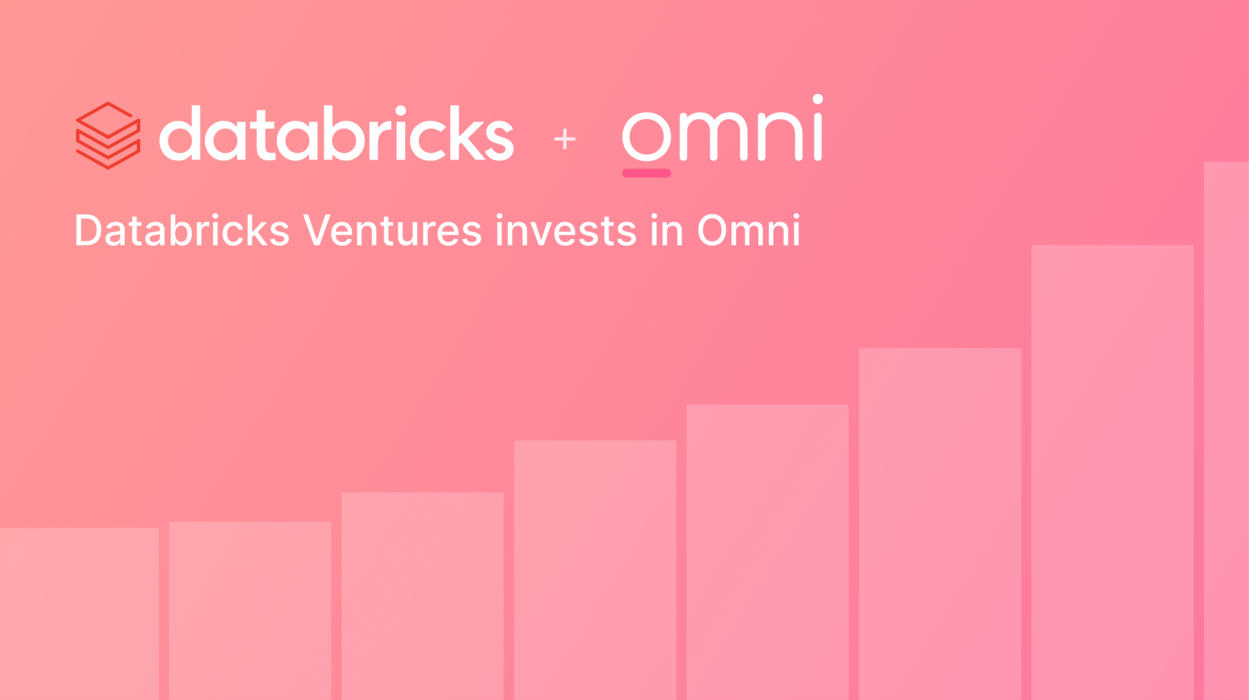 omni-databricks-hero